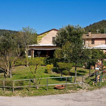 Agriturismo Torre Burchio بيتونا المظهر الخارجي الصورة